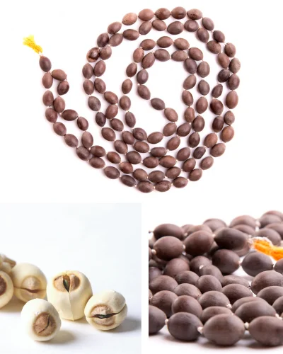 Natural Lotus Seeds Mala